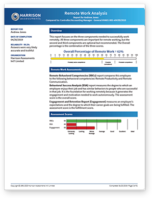 Remote Work Analysis Sample Report